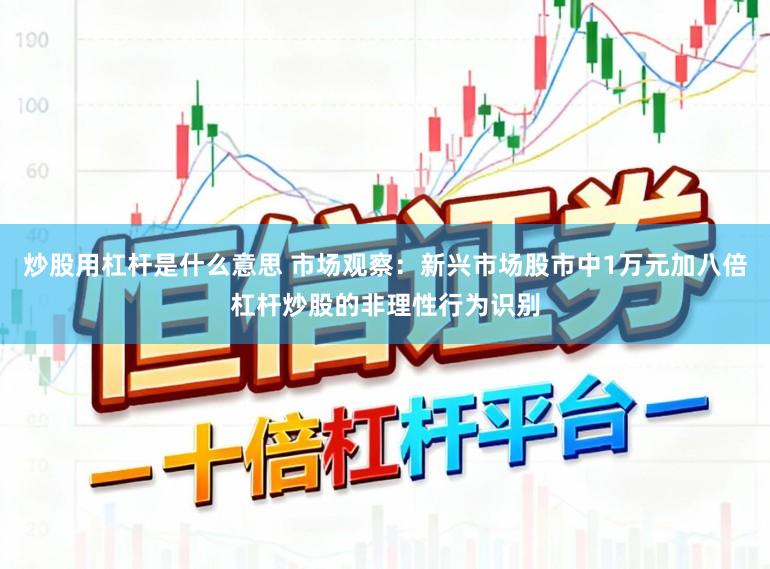 炒股用杠杆是什么意思 市场观察：新兴市场股市中1万元加八倍杠杆炒股的非理性行为识别