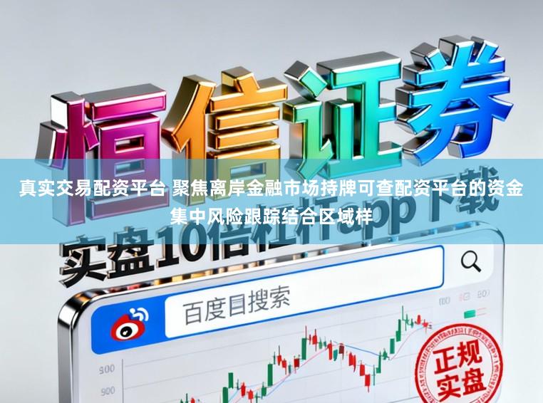 真实交易配资平台 聚焦离岸金融市场持牌可查配资平台的资金集中风险跟踪结合区域样